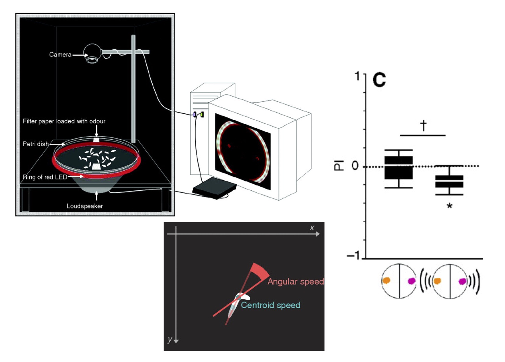 Associative learning between odorants and mechanosensory punishment in larval <i>Drosophila</i>