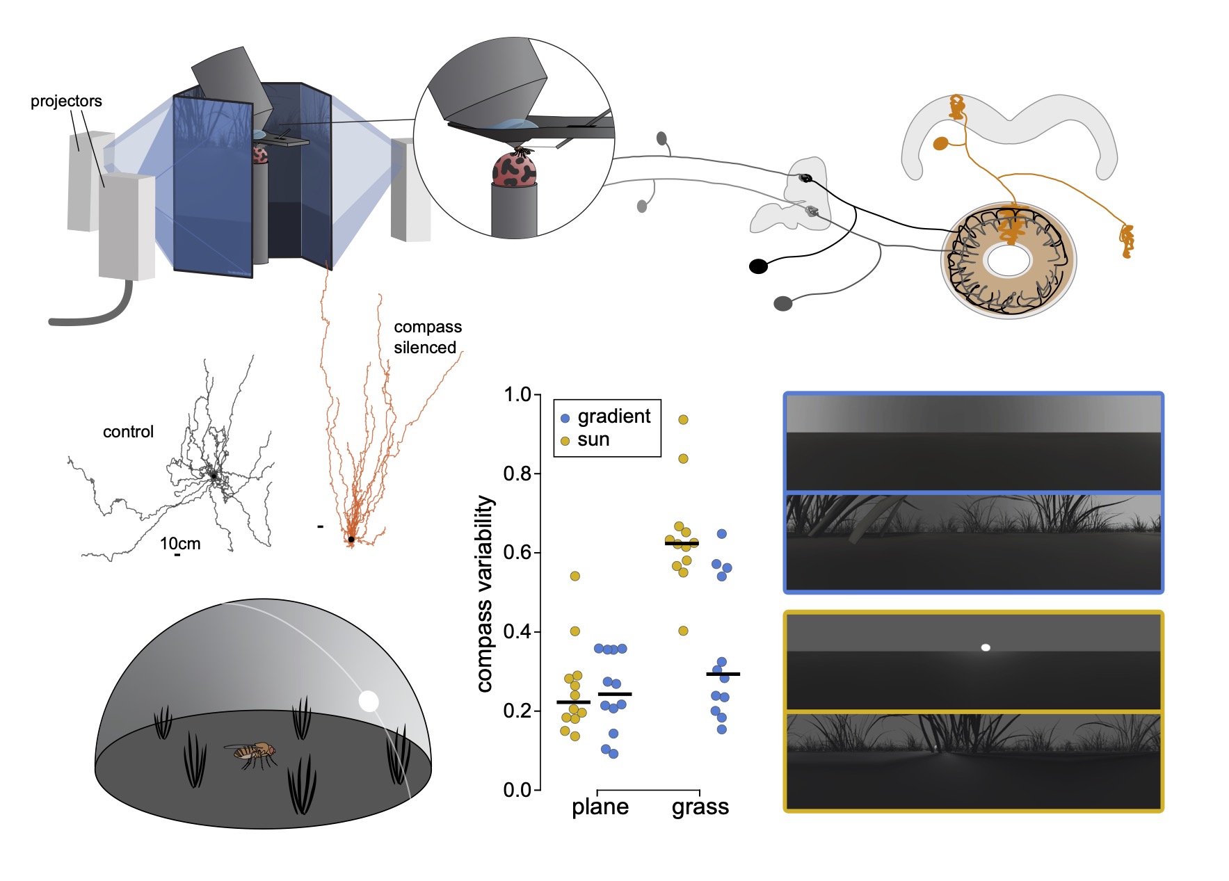 Maintaining a stable head direction representation in naturalistic visual environments